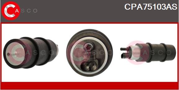 Casco CPA75103AS - Pompe à carburant www.easy1motors.fr