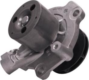 MOTRIO 8550500119 - Pompe à eau www.easy1motors.fr