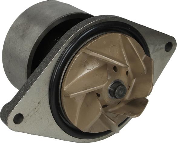 Thermotec WP-IV110 - Pompe à eau www.easy1motors.fr